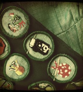 [IMG] A close up of girl scout badges sewn into a sash