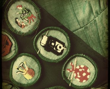 [IMG] A close up of girl scout badges sewn into a sash